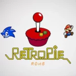 How to Download Game Roms for retropie & Install (Easy Steps)