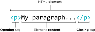 My paragraph html