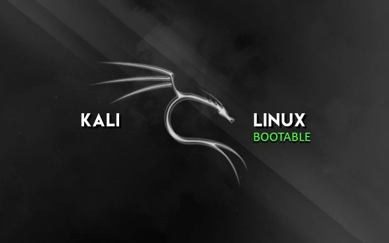 How to make a Kali Linux Bootable USB Drive (3 Methods)